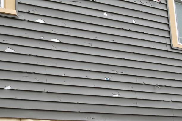 How To Choose The Right Materials for Your Siding Installation in 'Stevensville, MD