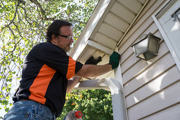 Trusted Stevensville, MD Siding Installation & Repair Experts